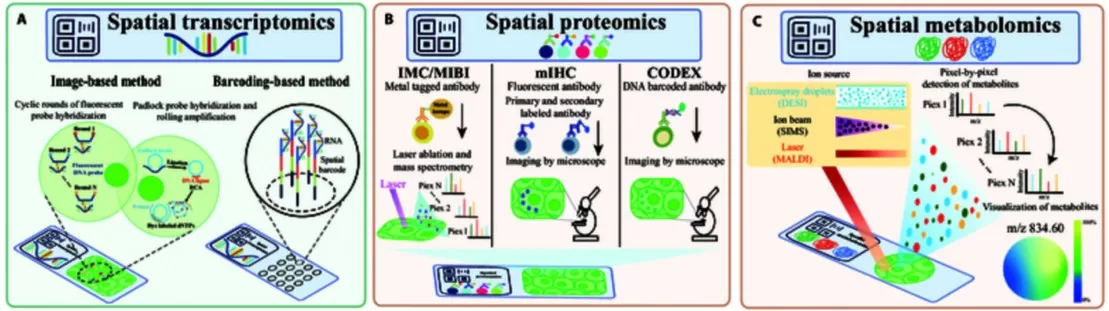 Spatial Omics Technologies